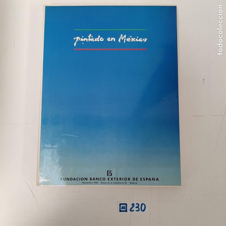 Libros: Pintado en Mexico - Foto 1