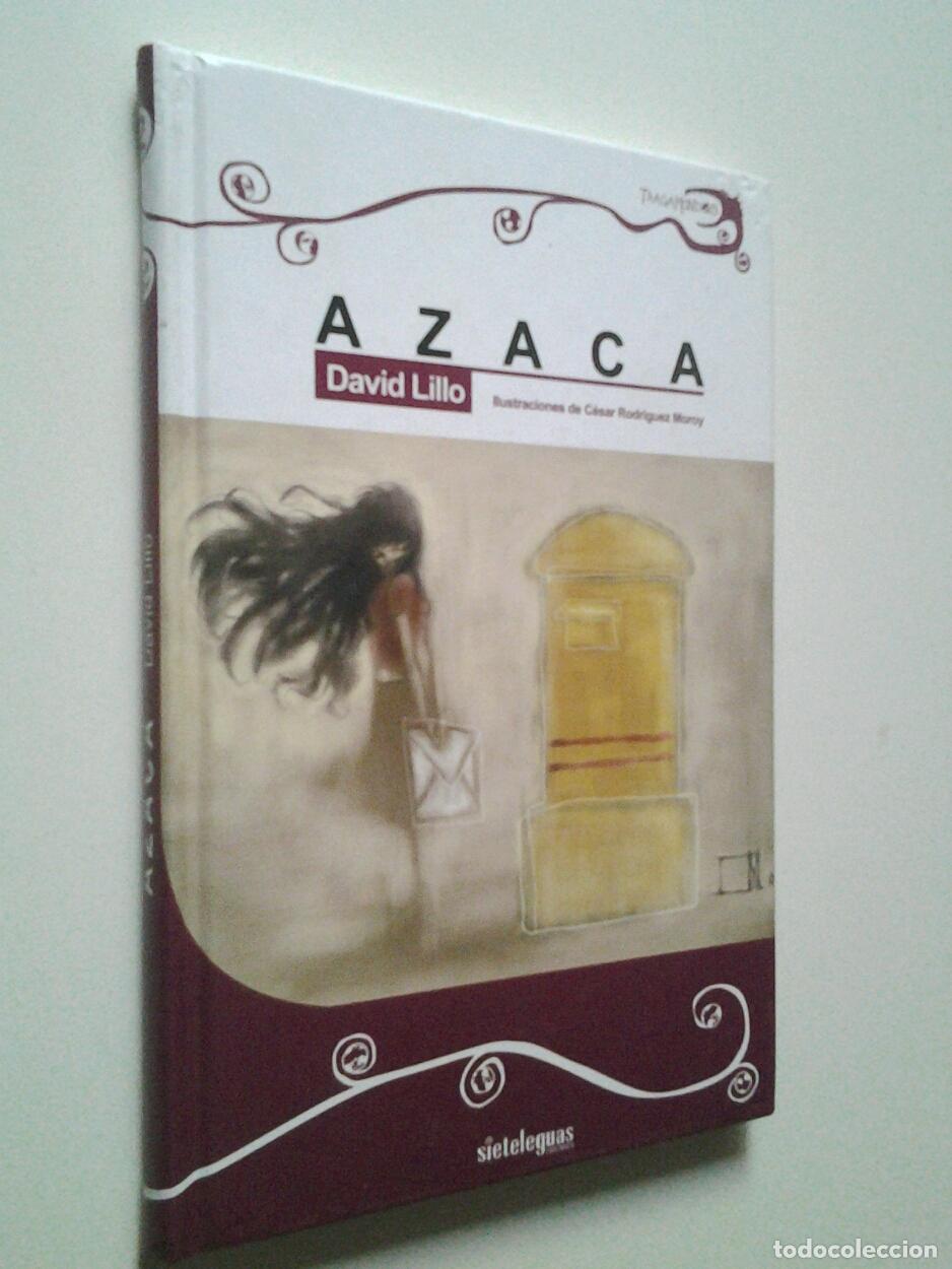 Libros: David Lillo - Azaca - Foto 1