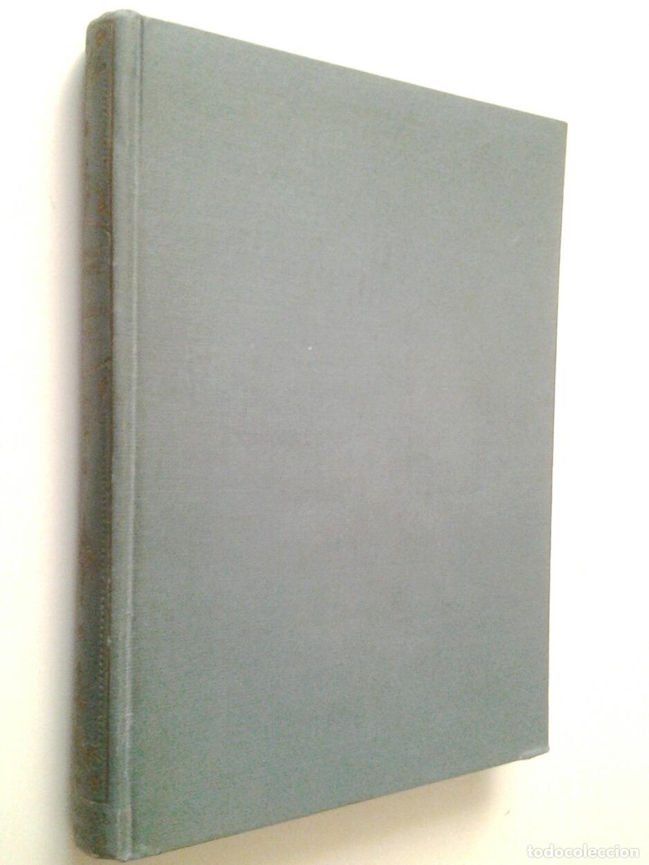 Libros: Stephen J. Brown S. J. - Realidad de Dios - Foto 1