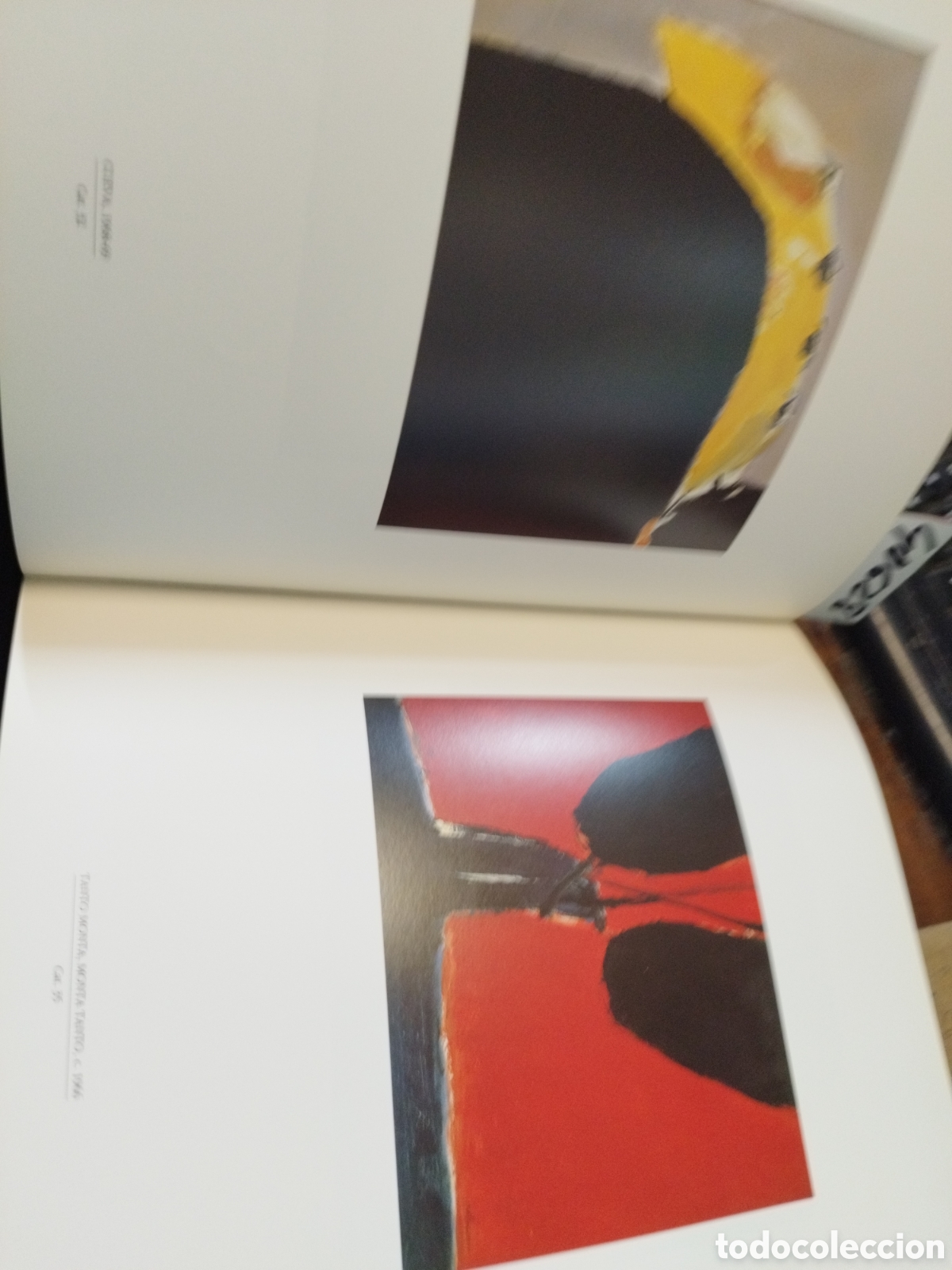 Libros: GUERRERO - Foto 7