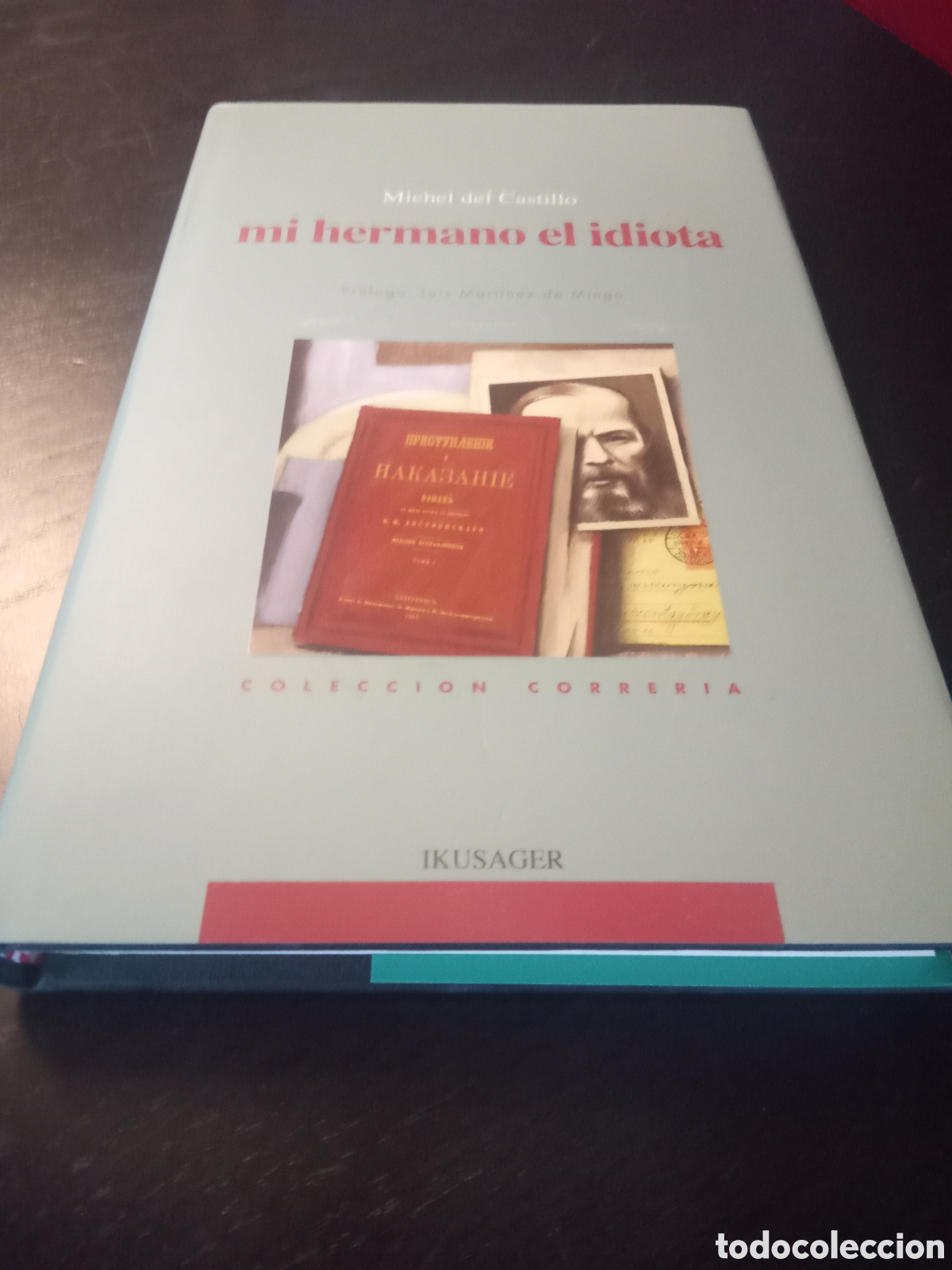 Libros: Mi hermano el idiota. Del Castillo Michel - Foto 1