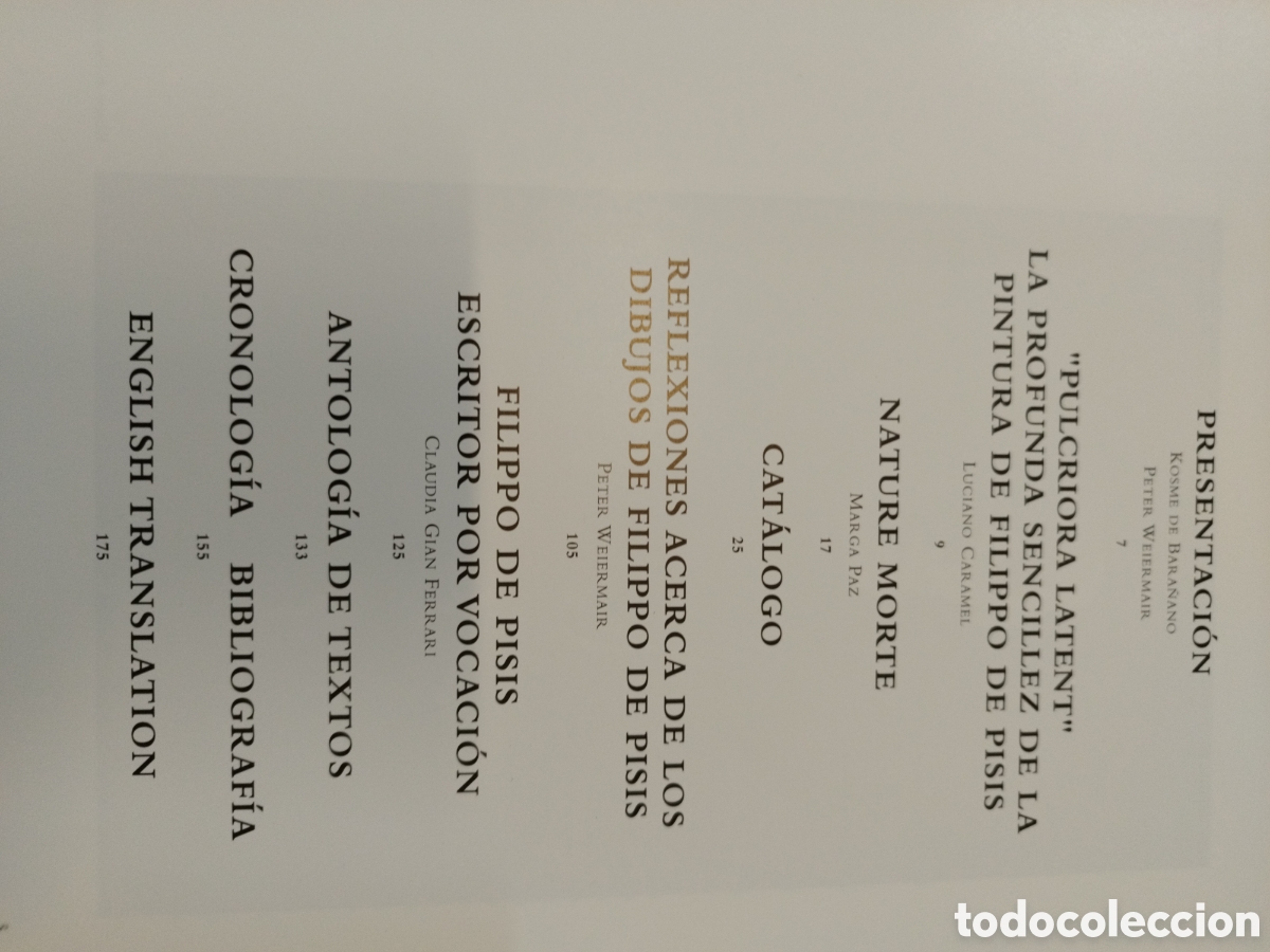 Libros: FILIPPO DE PISIS. IVAM - ARROYO PLANELLES,Marta (Coord.) - Foto 3