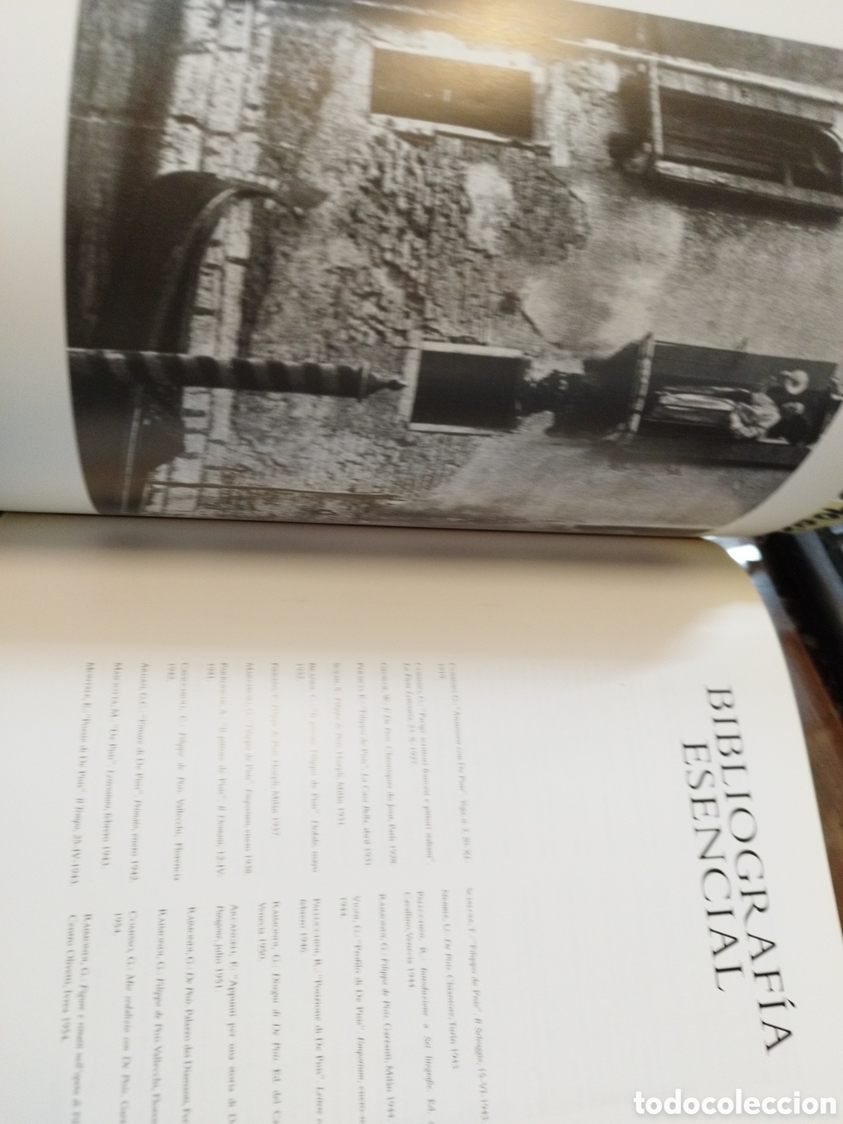Libros: FILIPPO DE PISIS. IVAM - ARROYO PLANELLES,Marta (Coord.) - Foto 4