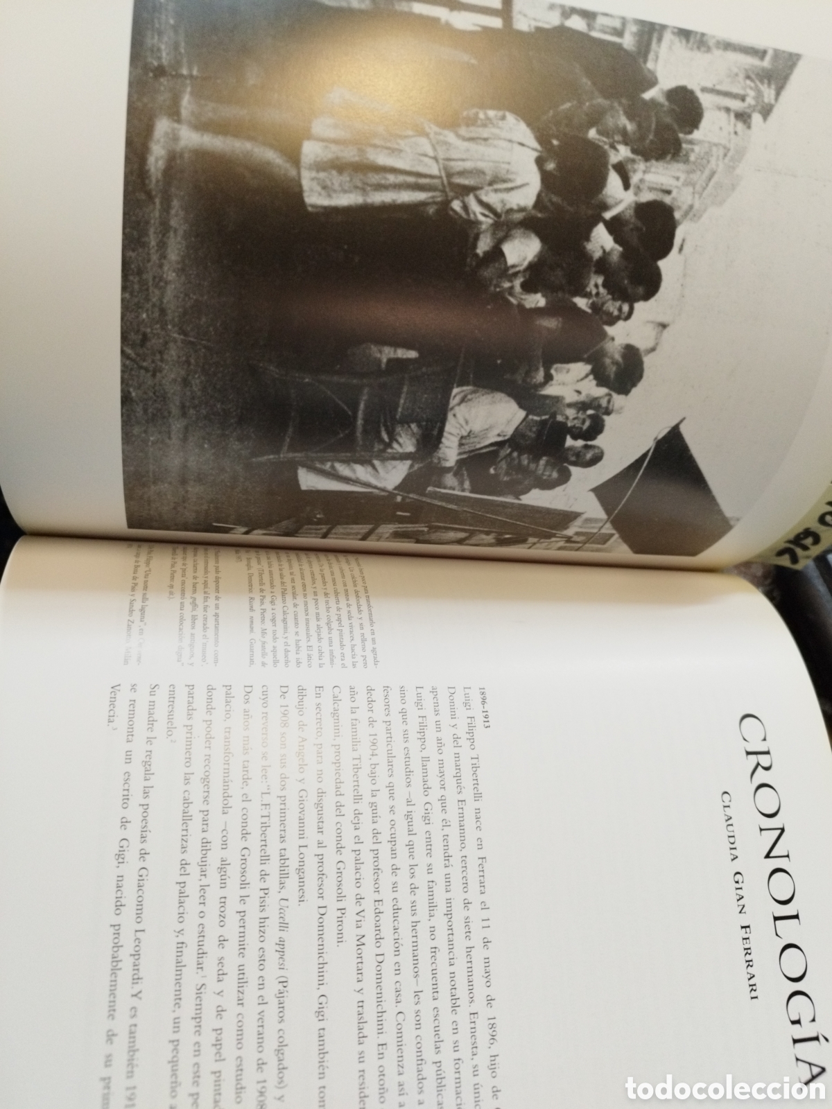 Libros: FILIPPO DE PISIS. IVAM - ARROYO PLANELLES,Marta (Coord.) - Foto 5