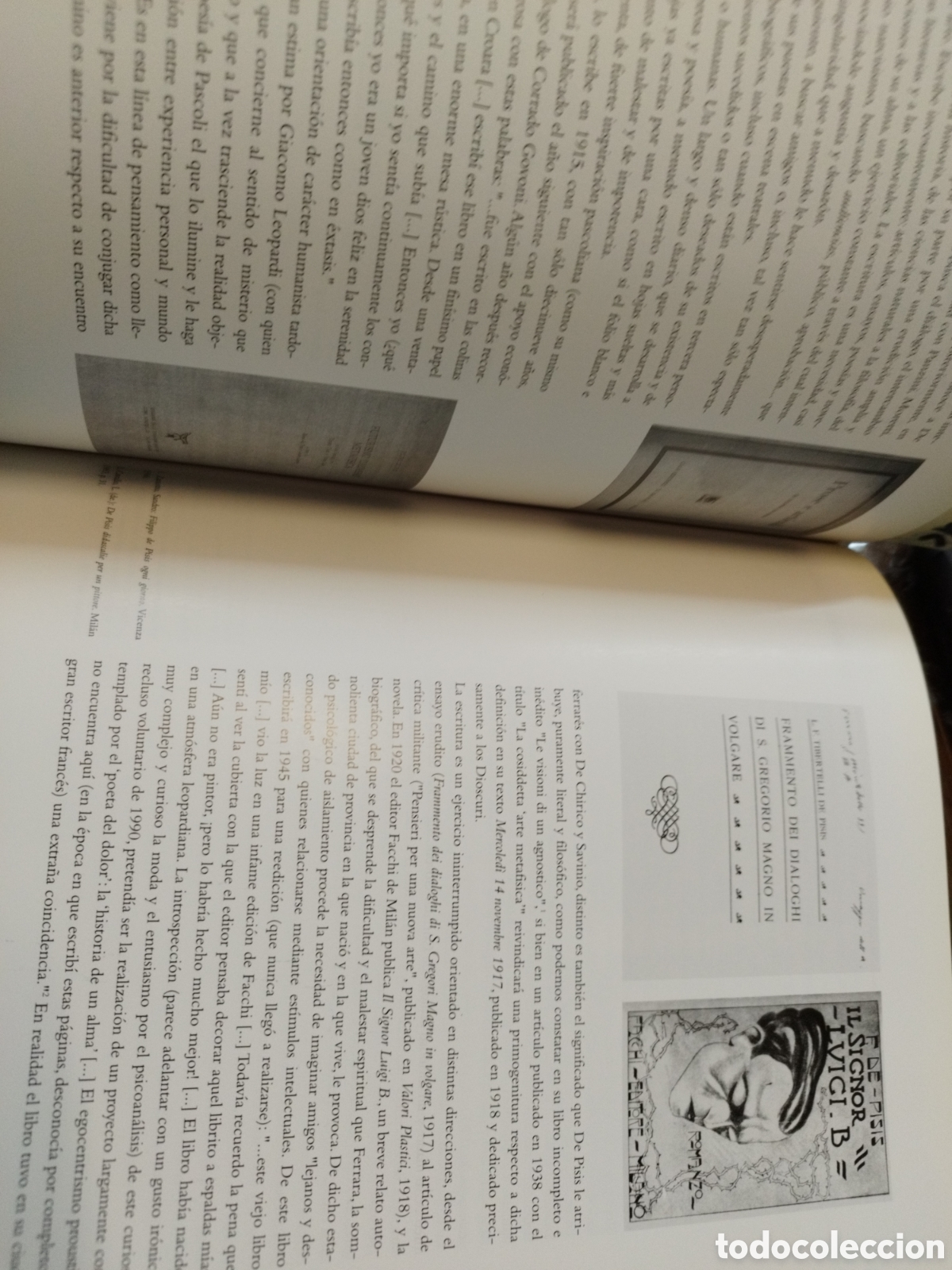 Libros: FILIPPO DE PISIS. IVAM - ARROYO PLANELLES,Marta (Coord.) - Foto 6