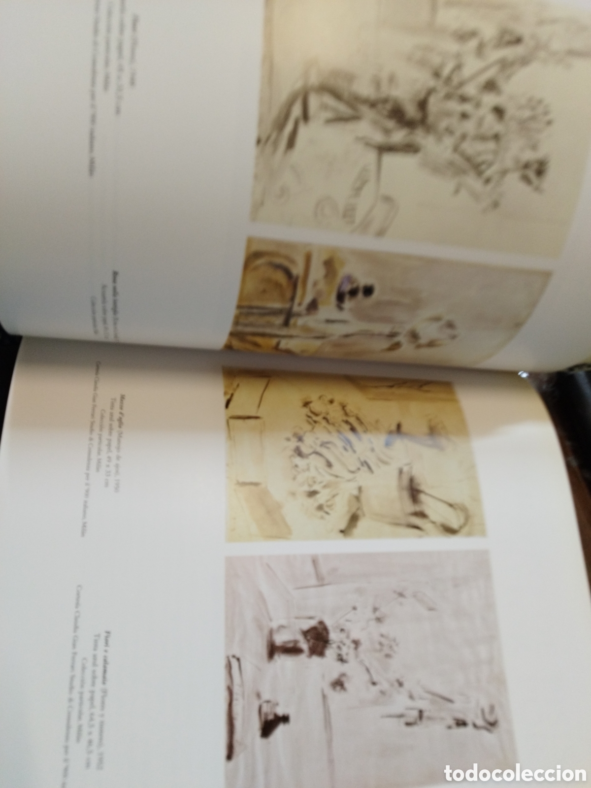 Libros: FILIPPO DE PISIS. IVAM - ARROYO PLANELLES,Marta (Coord.) - Foto 7