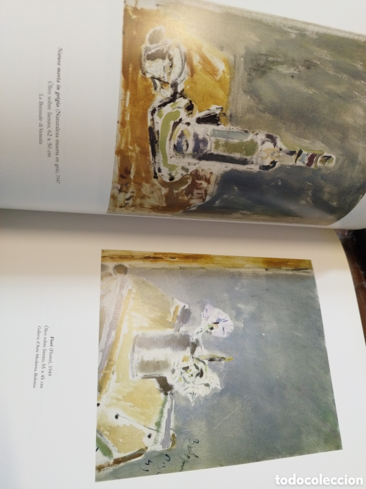 Libros: FILIPPO DE PISIS. IVAM - ARROYO PLANELLES,Marta (Coord.) - Foto 8