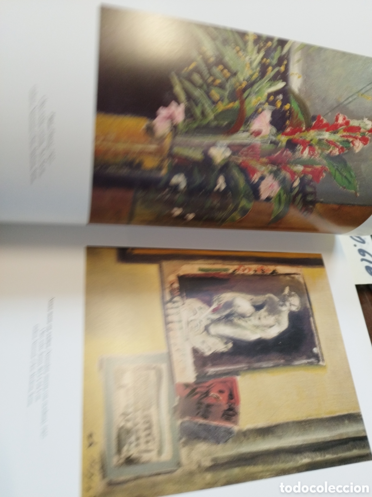 Libros: FILIPPO DE PISIS. IVAM - ARROYO PLANELLES,Marta (Coord.) - Foto 10