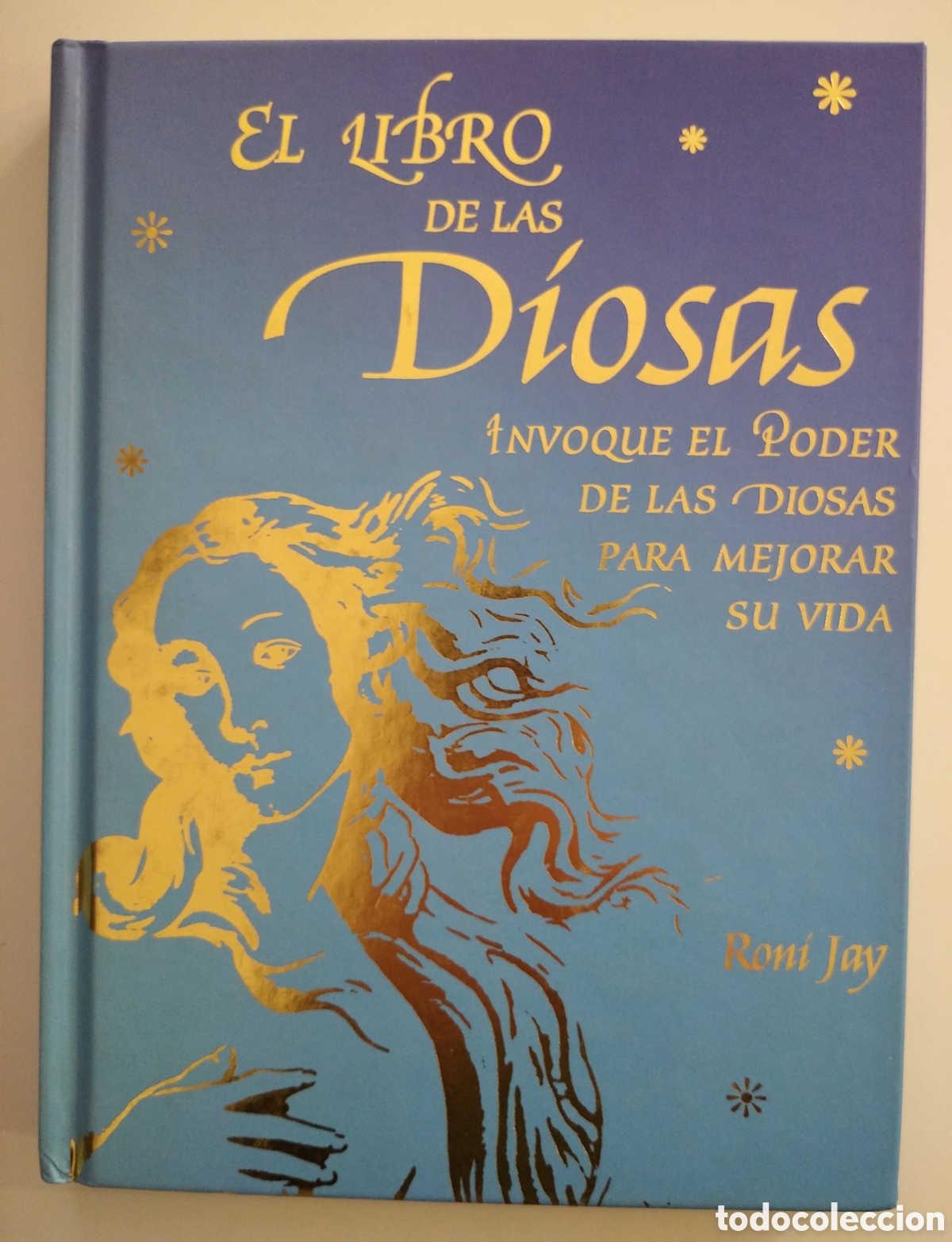 Libros: EL LIBRO DE LAS DIOSAS- RONI JAY - Foto 1