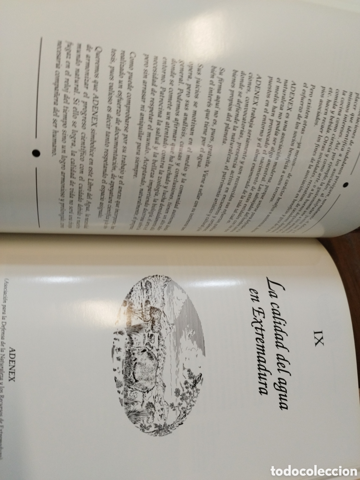 Libros: EL MANANTIAL. El libro del agua - Foto 8