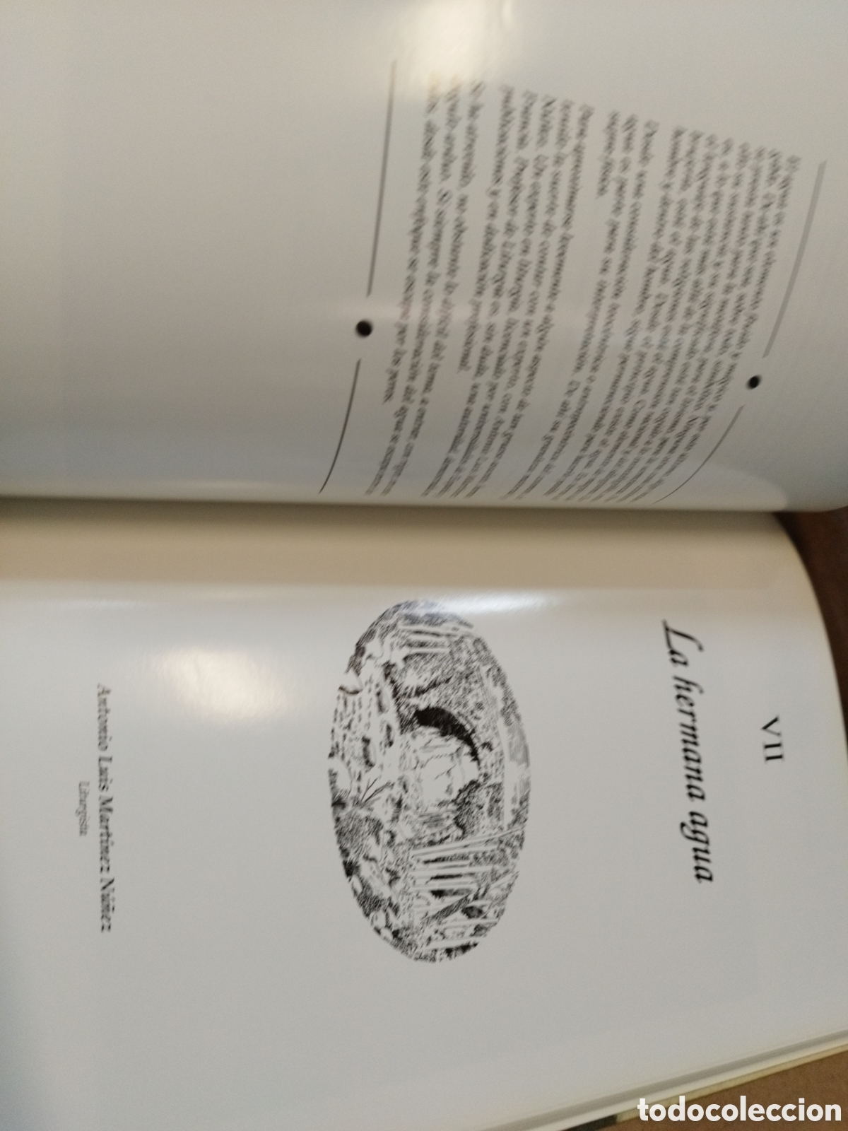 Libros: EL MANANTIAL. El libro del agua - Foto 10