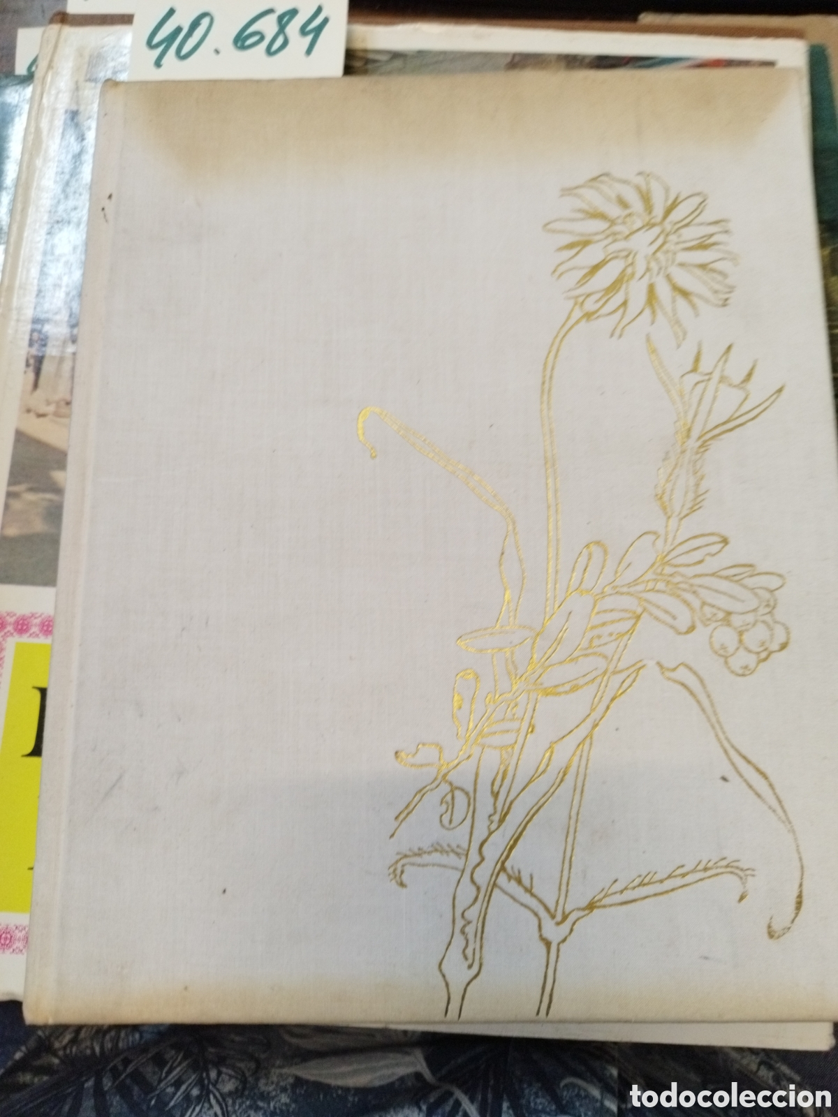 Libros: FLORES SILVESTRES - BARTON,J.G. - Foto 2