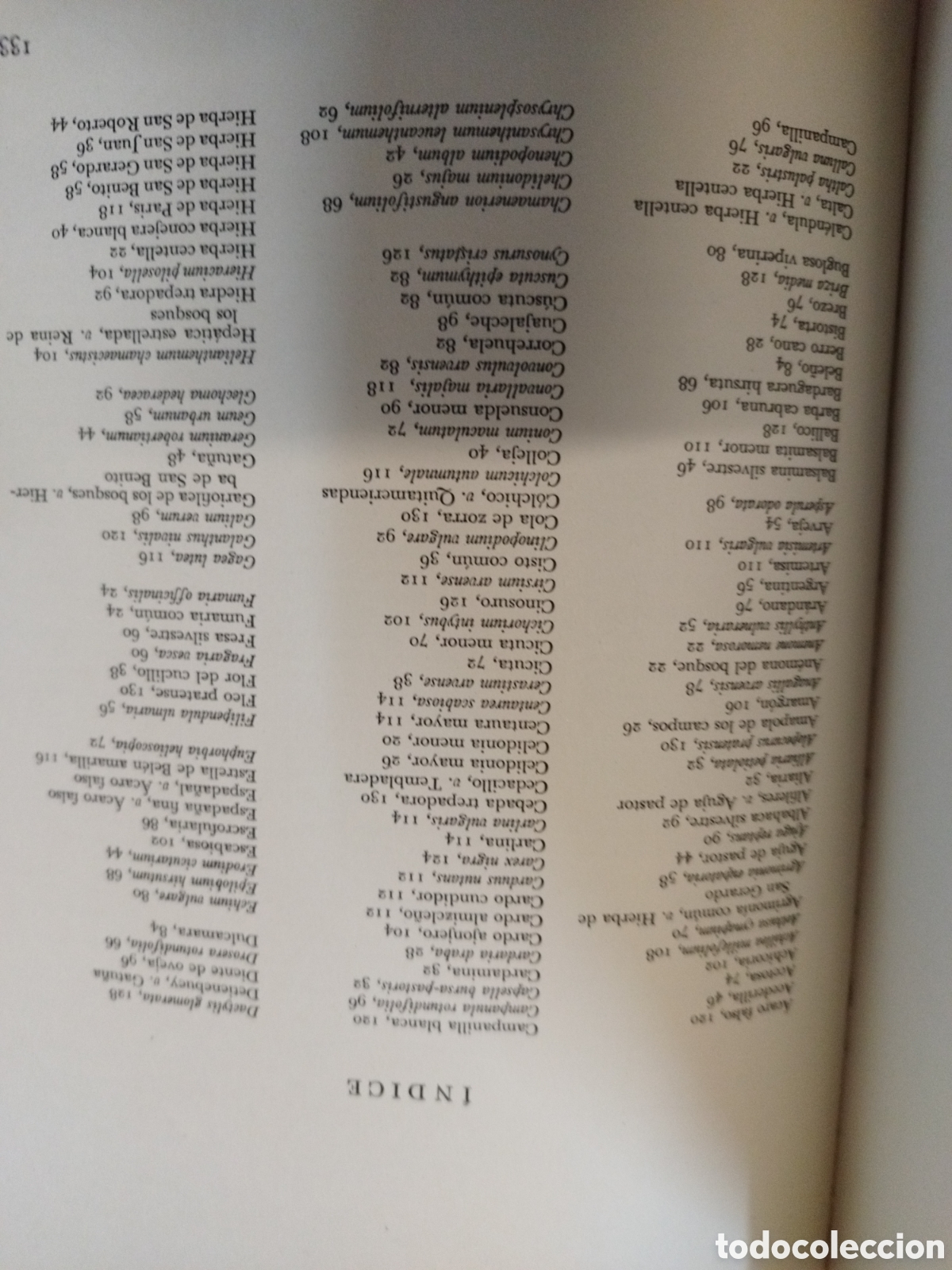 Libros: FLORES SILVESTRES - BARTON,J.G. - Foto 4