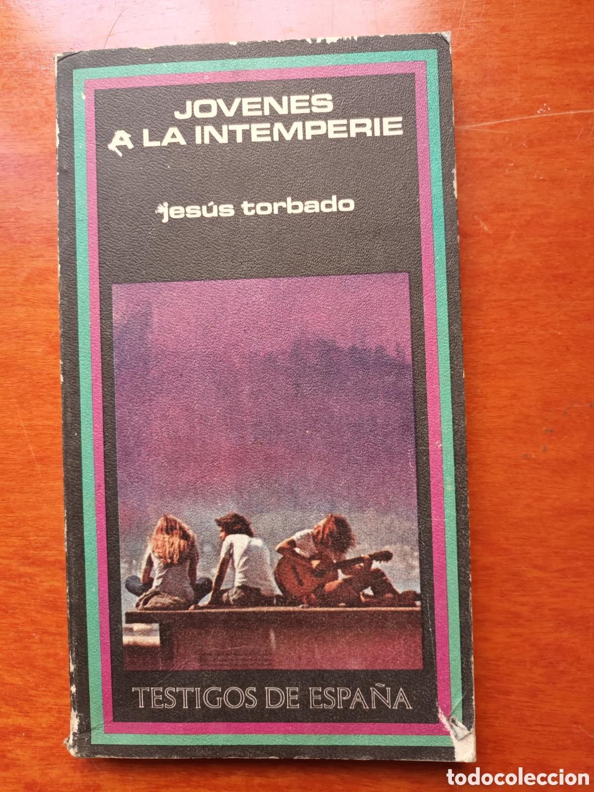 Libros: J&Oacute;VENES A LA INTEMPERIE - Foto 1