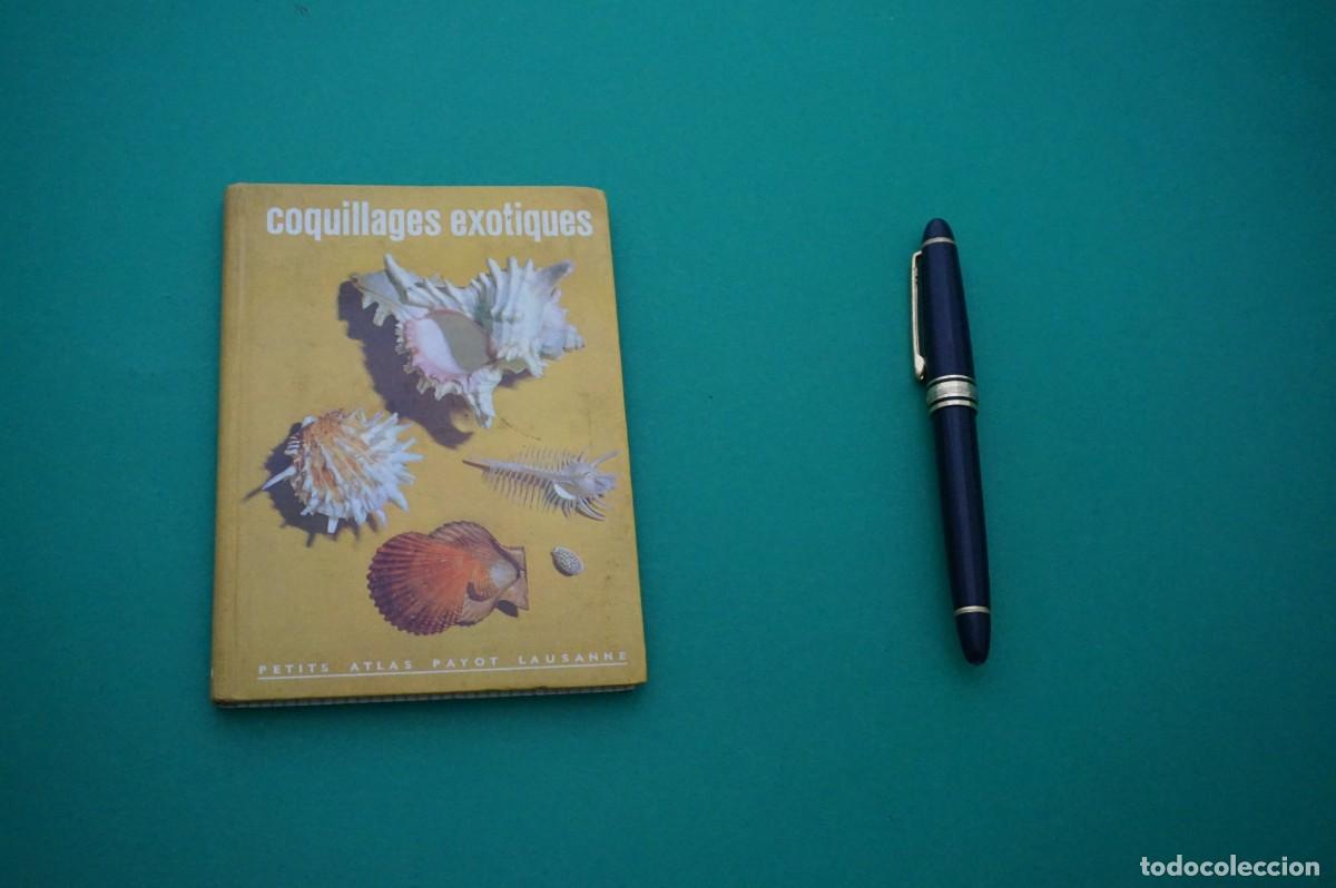 B&uuml;cher: AMF-24B/ COQUILLAGES EXOTIQUES (ESPECES MARINES) - PETIT ATLAS PAYOR LAUSANNE N&ordm; 61
