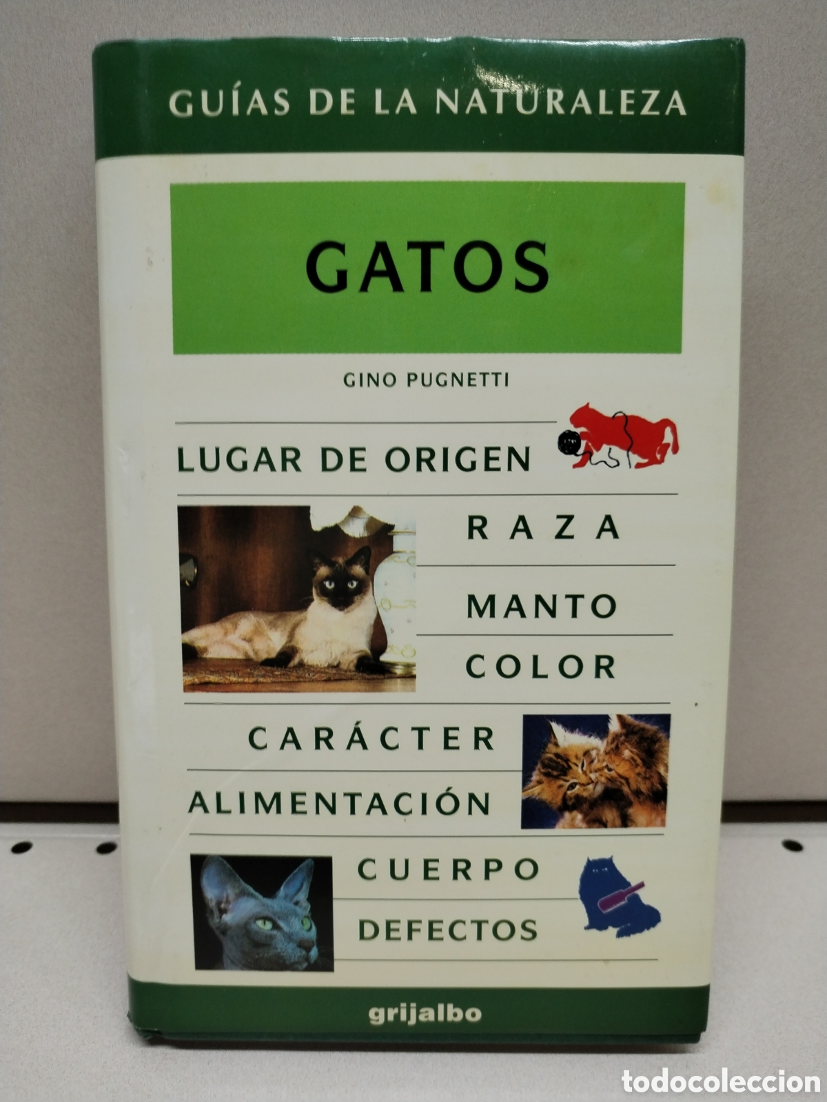 Libros: Gatos (Spanish Edition) - Pugnetti Gino - Foto 1