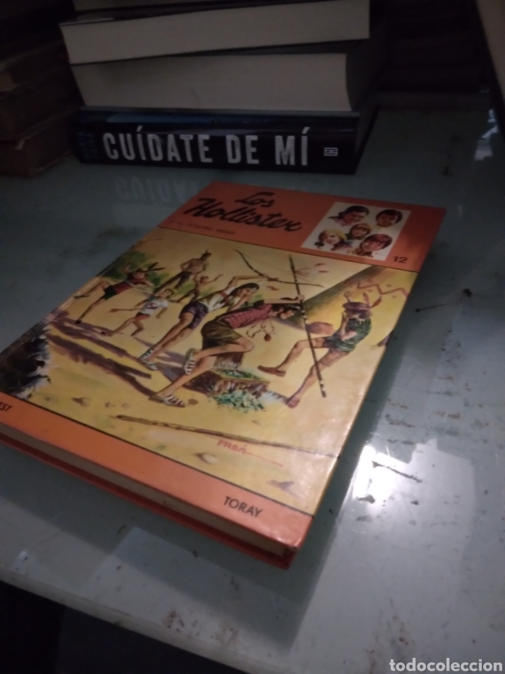 Libros: Los Hollister, y el tesoro indio, 12 Toray - Foto 1