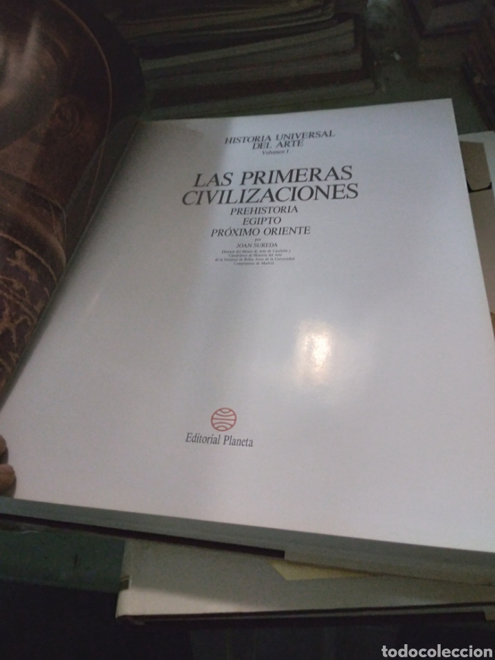 Libros: Historia Universal del Arte, 2 tomos,Planeta - Foto 4