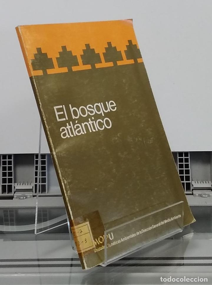 Libros: El bosque atl&aacute;ntico - V&iacute;ctor M. V&aacute;zquez - Foto 1
