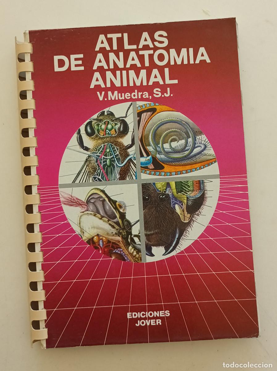 Libros: Atlas de anatom&iacute;a animal. Cuaderno ilustrado. Muy interesante