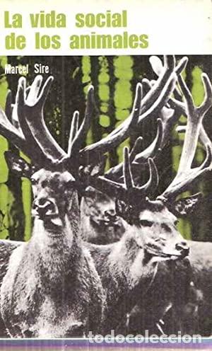 Libros: LA VIDA SOCIAL DE LOS ANIMALES - Sire,Marcel - Foto 1