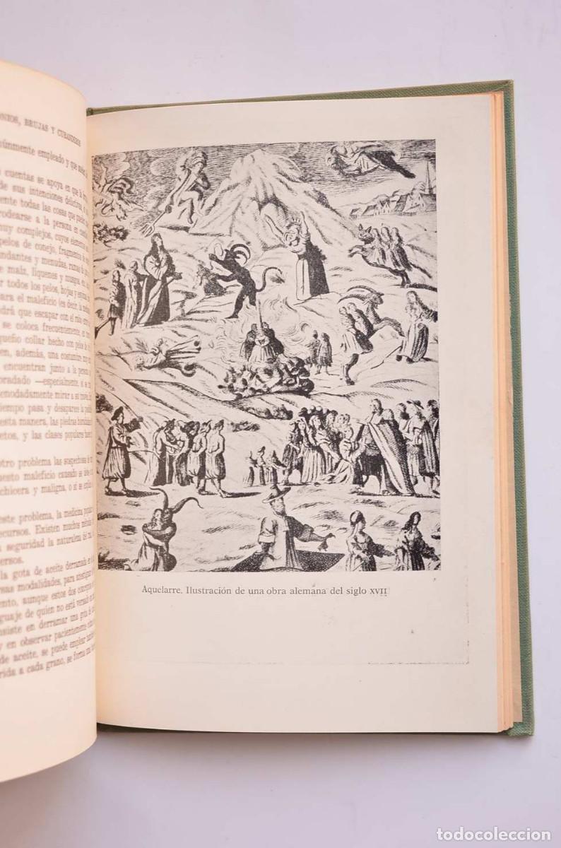 Libros: Demonios, brujas y curanderos - PAZZINI, Adalberto - Foto 3