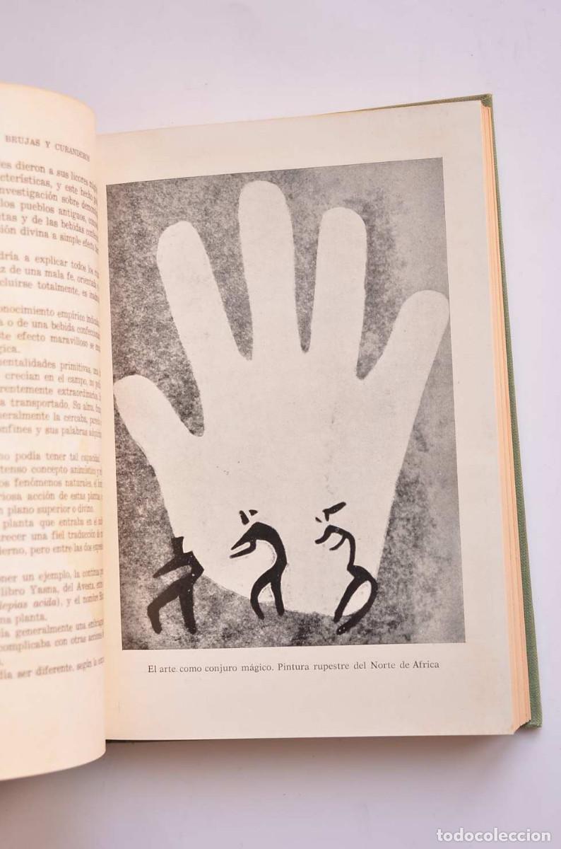 Libros: Demonios, brujas y curanderos - PAZZINI, Adalberto - Foto 5