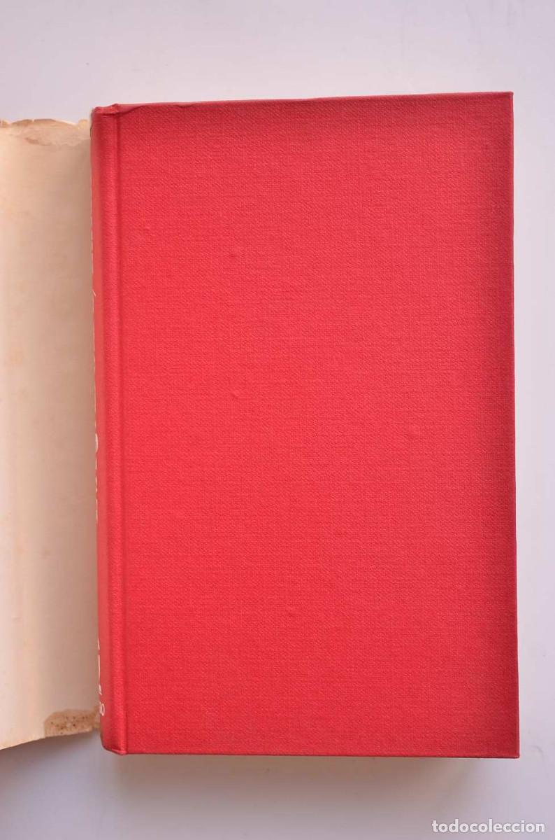 Libros: Eva y Adolfo - INFIELD, Glenn - Foto 2