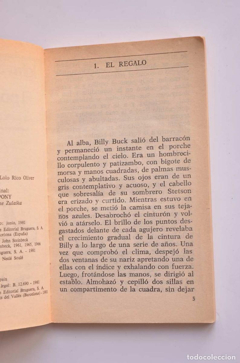 Libros: El poney rojo - STEINBECK, John - Foto 3