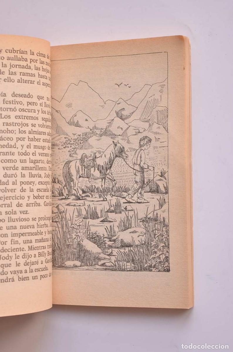 Libros: El poney rojo - STEINBECK, John - Foto 4