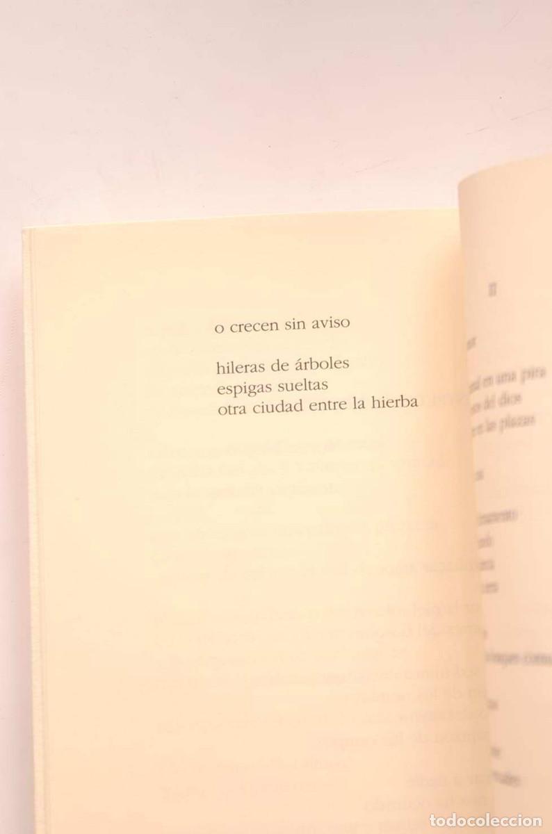 Libros: Invenci&oacute;n de la piel - OBESO, Jon - Foto 4