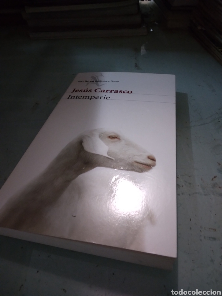 Libros: Jesus Carrasco, Intemperie, Seix Barral - Foto 1