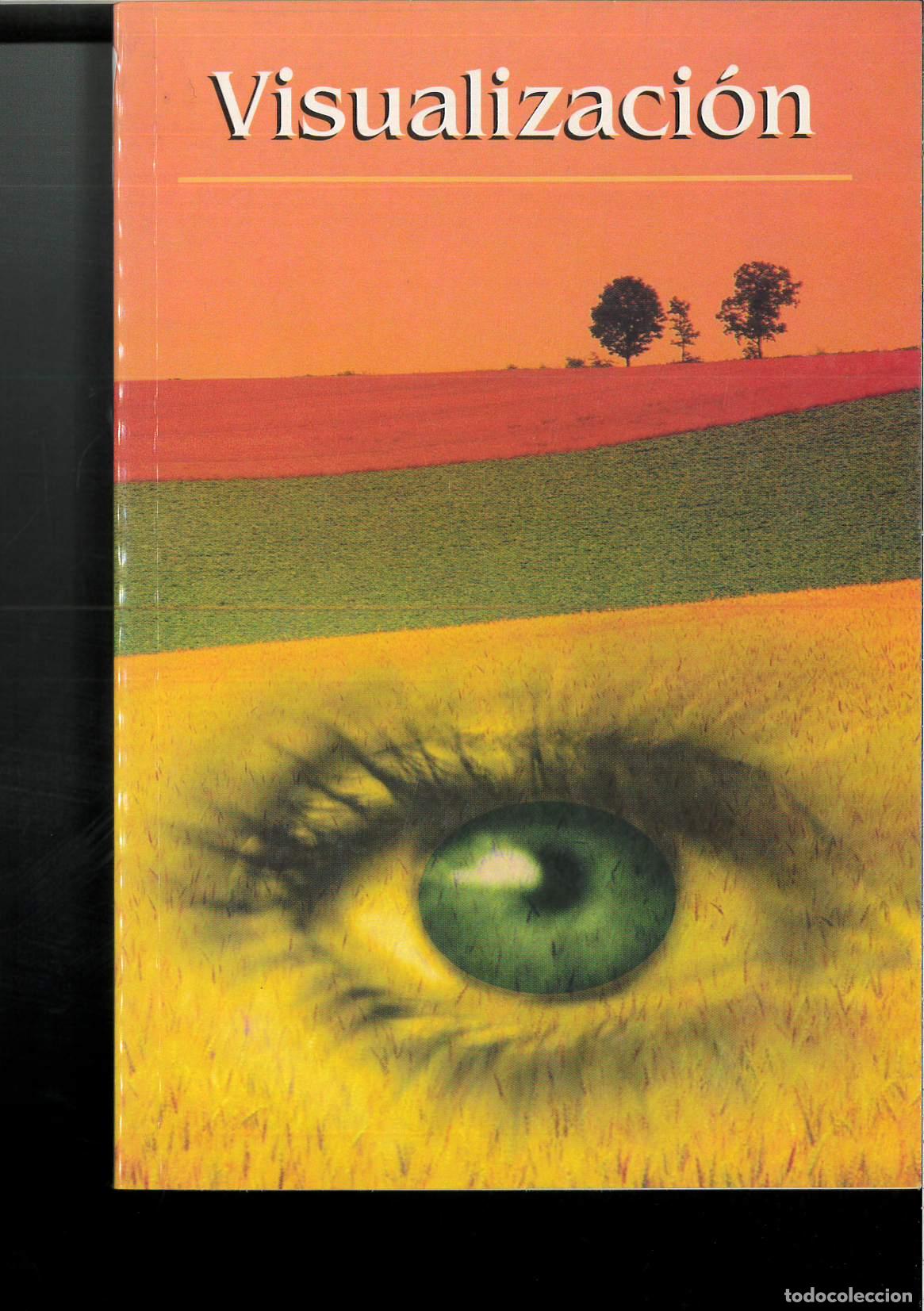 Libros: Visualizaci&oacute;n - CARMEN OR&Uacute;S - Foto 1