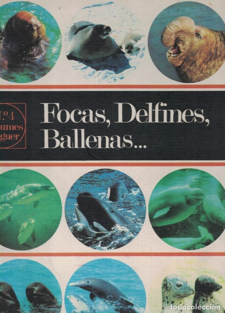 Libros: FOCAS, DELFINES, BALLENAS&hellip; - Equipo Editorial. - Foto 1