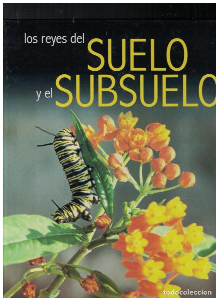 Libros: LOS REYES DEL SUELO Y EL SUBSUELO. - Equipo Editorial. - Foto 1