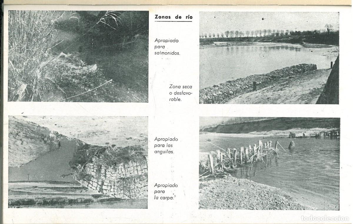 Libros: PESCA AL LANZADO. MAR Y R&Iacute;O. - ROIG, Juan. - Foto 9
