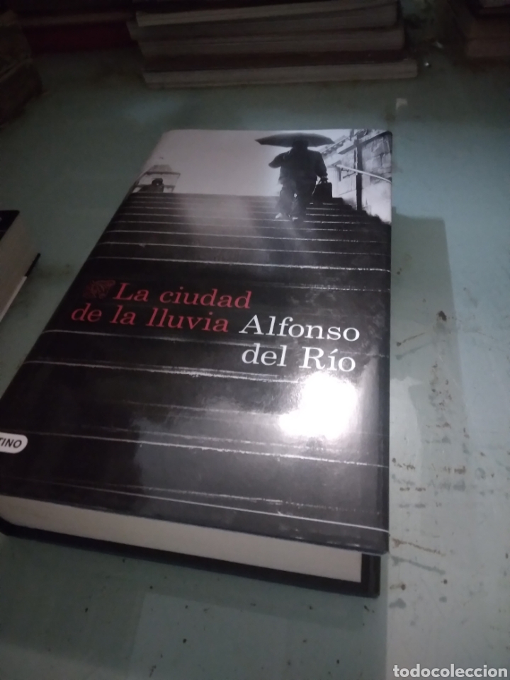 Libros: Alfonso del R&iacute;o, La ciudad de la lluvia, Destino - Foto 1