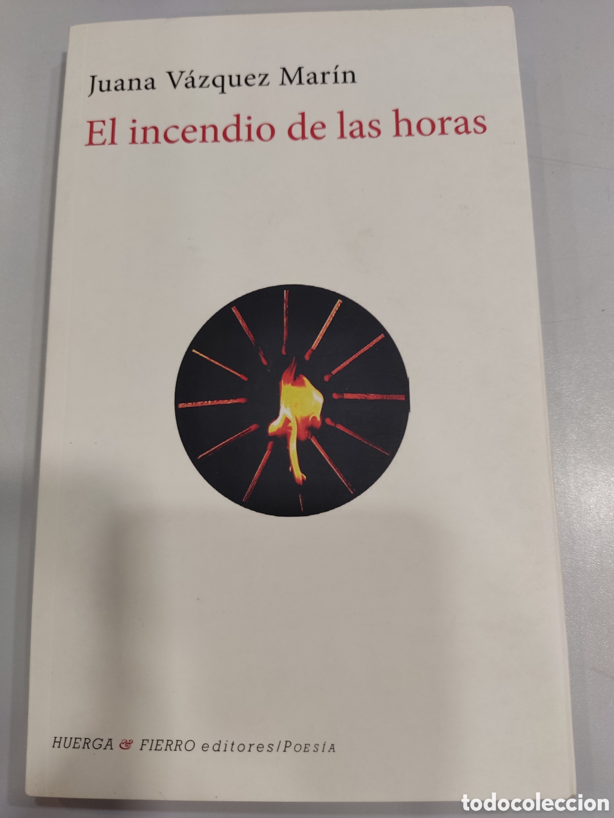 Libros: El incendio de las horas de Juana V&aacute;zquez Mar&iacute;n - Foto 1