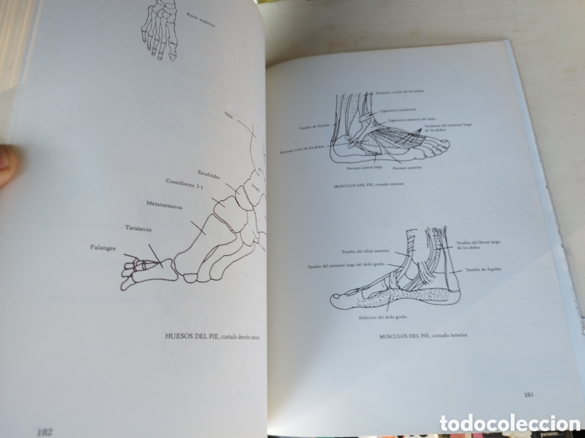 Libros: El Libro del Masaje - George Downing - - Foto 11