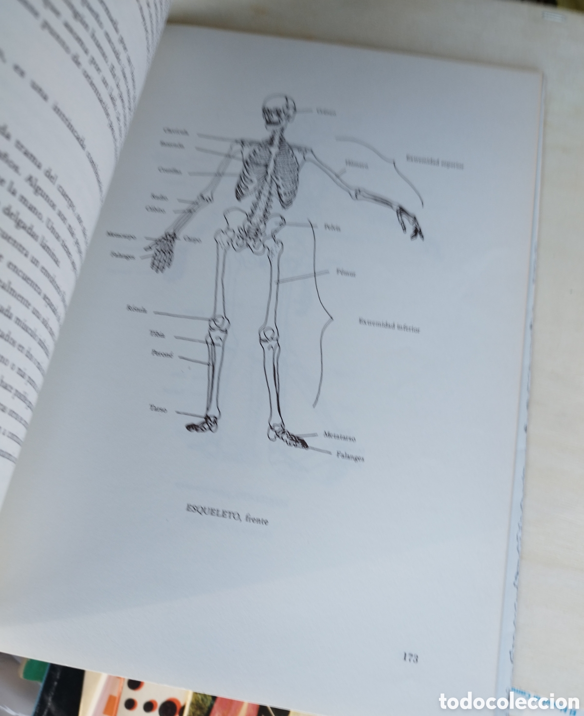 Libros: El Libro del Masaje - George Downing - - Foto 12
