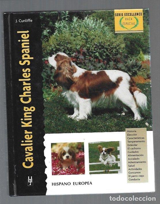 Libros: CAVALIER KING CHARLES SPANIEL - J. CUNLIFFE - Foto 1