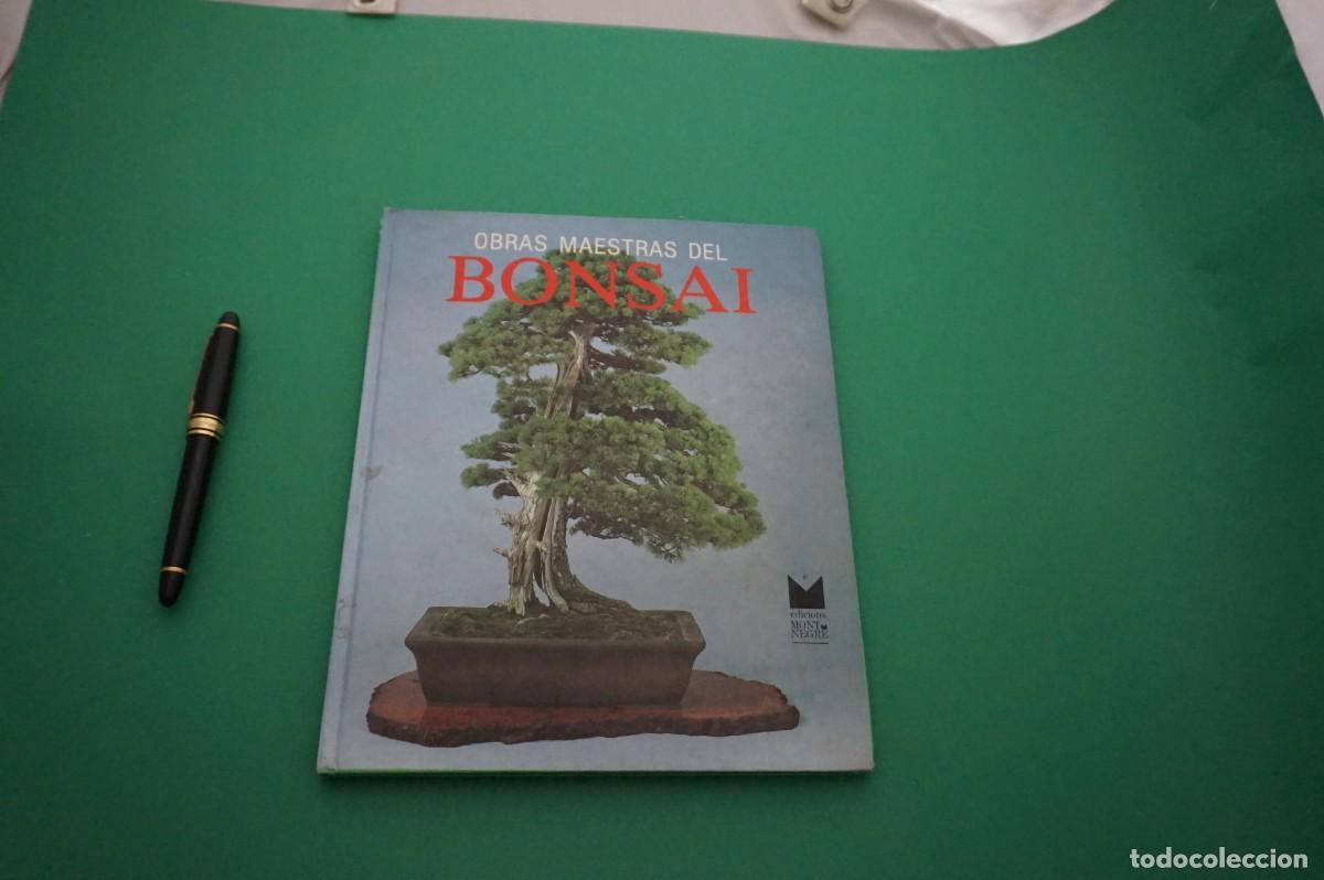B&uuml;cher: AMF-24I/ OBRAS MAESTRAS DEL BONSAI / EDICIONS MONT NEGRE