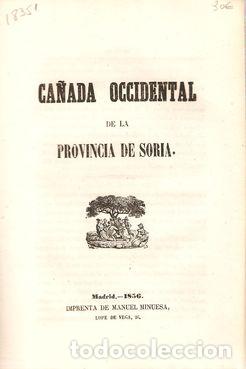 Libros: DESCRIPCI&Oacute;N DE LA CA&Ntilde;ADA OCCIDENTAL DE LA PROVINCIA DE SORIA - S/A - Foto 1