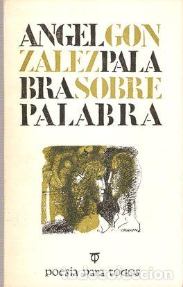 Libros: PALABRA SOBRE PALABRA - GONZ&Aacute;LEZ, &Aacute;ngel - Foto 1
