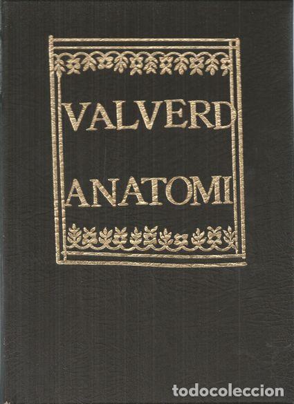 Libros: HISTORIA DELLANATOMIA - VALVERDE, GIOVANNI - Foto 1