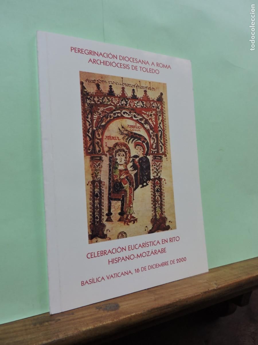 Libros: Peregrinaci&oacute;n diocesana a Roma Archidi&oacute;cesis de Toledo. Bas&iacute;lica Vaticana 16 diciembre 2000