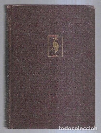 Libros: DON JUAN O EL VICIO DE AMAR - ORICO, OSVALDO - Foto 1
