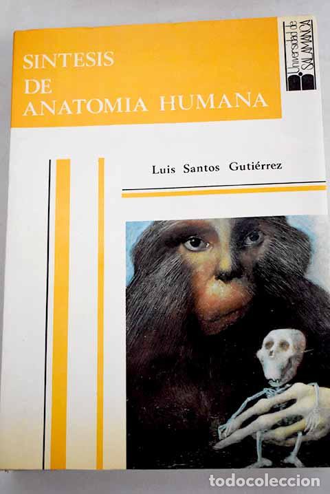 Libros: S&iacute;ntesis de anatom&iacute;a humana: (claves conceptuales y atlas de esquemas b&aacute;sicos) - Foto 1