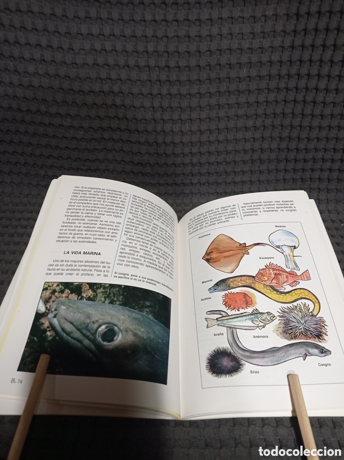 Libros: Buceador una estrella (Iniciaci&oacute;n) - Foto 4