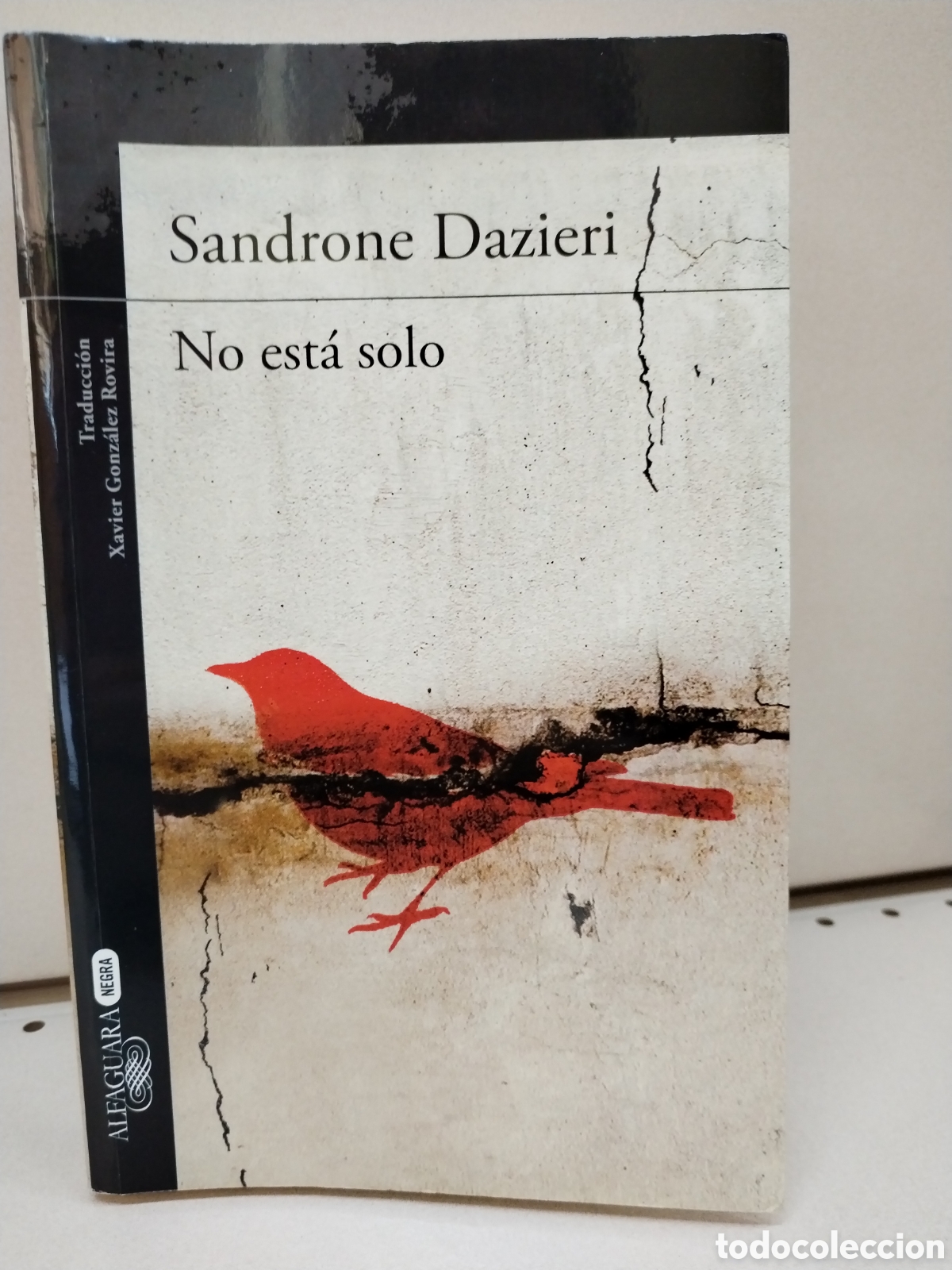 Libros: No est&aacute; solo (Colomba y Dante) - Dazieri, Sandrone - Foto 1